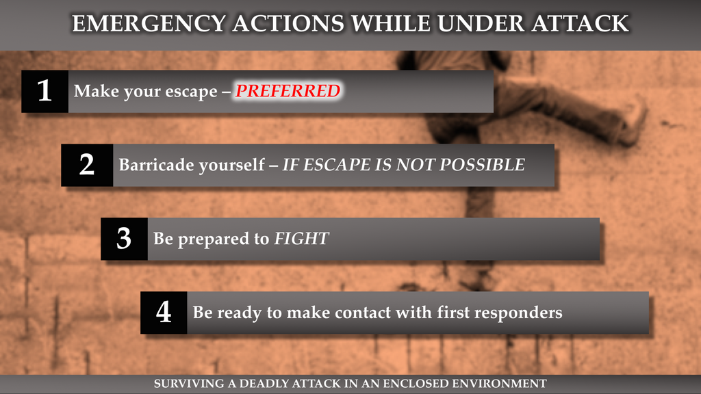 Mini-Course #1 - Surviving a Deadly Attack