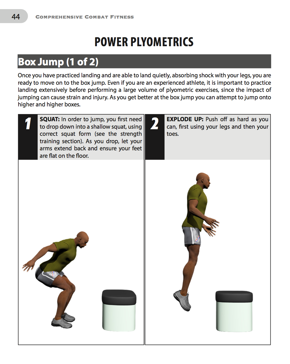 Comprehensive Combat Fitness Training