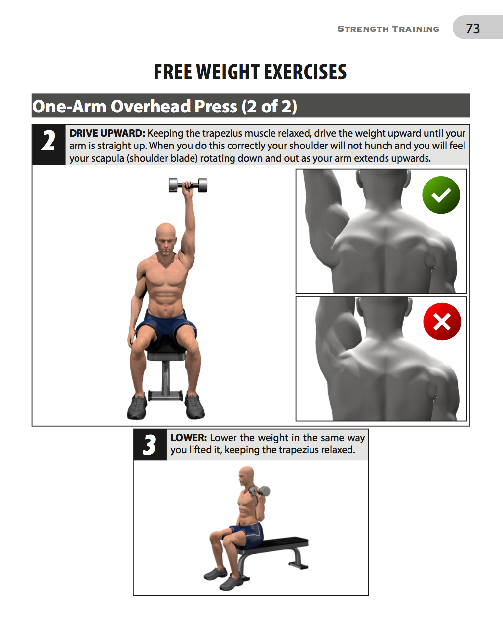 Comprehensive Combat Fitness Training